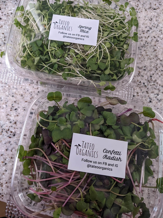 3 month Microgreens Subscription